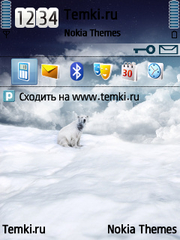 Белый медведь для Nokia E73 Mode