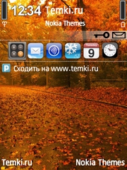Осенняя дорога для Nokia 6121 Classic