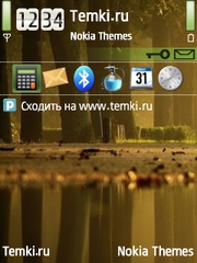 Отражение для Nokia N77
