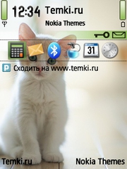 Котеночек для Nokia E73 Mode