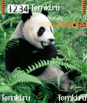 Панда для Samsung SGH-D730