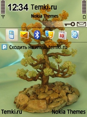Бонсай для Nokia 6790 Slide