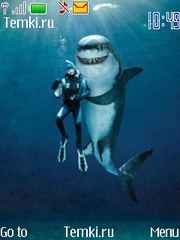 Дружелюбная акула для Nokia 2710 Navigation Ed