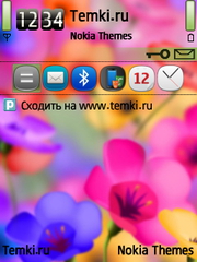 Красивые цветочки для Nokia X5-00