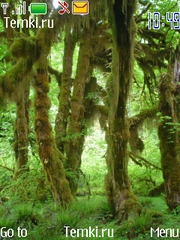 Влажные джунгли для Nokia 2710 Navigation Ed