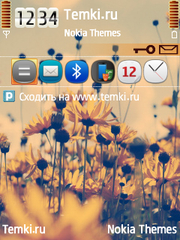 Цветы для Nokia N71