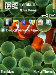 Рыбки для Nokia 6124 Classic