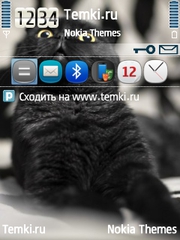 Котяра для Nokia E73 Mode