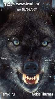 Злой волк для Nokia 500
