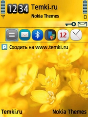 Желтые Цветы для Nokia N77