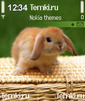 Крольчонок для Nokia 7610