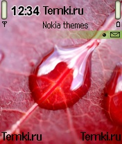 Роса для Nokia 6630