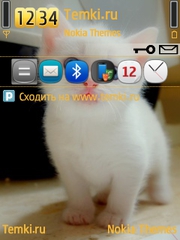 Котёнок для Nokia N77