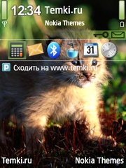 Дикий малыш для Nokia N96