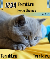 Прикольный Котэ для Nokia 7610