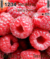 Малина для Nokia N70