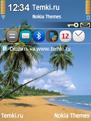 Пуэрто Рико для Nokia N81 8GB