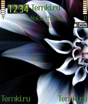 Цветок для Nokia N70