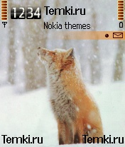Лис зимой для Nokia 6638