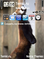 Пушистый зверек для Nokia E73 Mode
