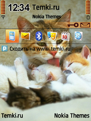 Мамочка с котятами для Nokia 6210 Navigator