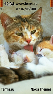 Мамочка с котятами для Nokia 701