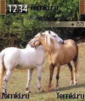 Лошадки обнимаются для Nokia 6638