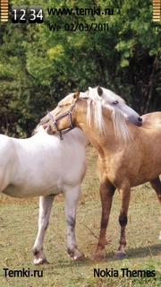 Лошадки обнимаются для Sony Ericsson Kanna