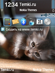 Котенок для Nokia N77