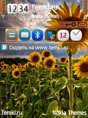 Подсолнухи для Nokia N95