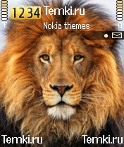 Царь зверей для Nokia N72