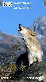 Волк воет для Sony Ericsson Kurara