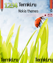Ladybug для Nokia 6600