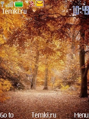 Осенний лес для Nokia Asha 201