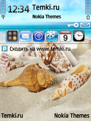 Ракушки На Южном Пляже для Nokia 6124 Classic