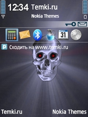 Череп для Nokia N96