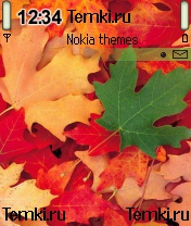 Буйство красок для Nokia N72
