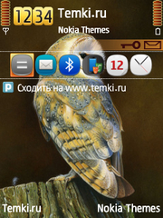 Сова для Nokia 6121 Classic