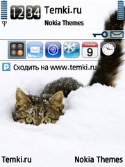 Кот в снегу для Nokia E73 Mode