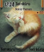 Котеночек для Nokia 3230