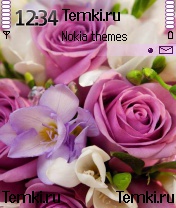 Красота И Розы для Nokia N72
