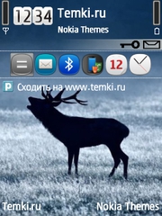 Лось для Nokia E73 Mode
