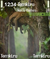 Скриншот №1 для темы Киса на дереве