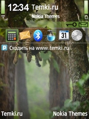 Киса на дереве для Nokia N71