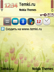 Тюльпаны для Nokia 5730 XpressMusic