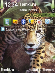 В укрытии для Nokia E73 Mode
