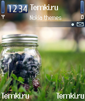 Летние ягоды для Nokia N70