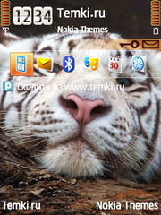 Мордаха барса для Nokia E73 Mode