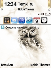 Сова для Nokia E73 Mode