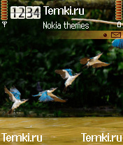 Птички для Nokia 6600